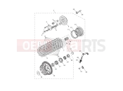 TRIUMPH Tiger 900 GT clutch