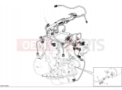 DUCATI 2025 Multistrada V4 Pikes Peak Engine electric system