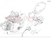 DUCATI 2025 Scrambler Full Throttle Wiring harness