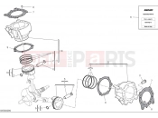 DUCATI Monster Senna Cylinders & pistons