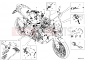 DUCATI Multistrada V2 S Wiring harness