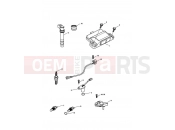 Triumph 2013 SPRINT GT Engine Management System