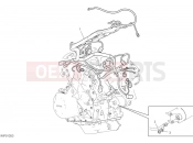 DUCATI Multistrada V4 Pikes Peak Wiring Harness (Coil)
