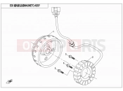 CFMOTO ZFORCE 500 (CF500US) MAGNETO STATOR ASSY - E03