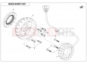 CFMOTO 2021 SSV ZFORCE 800 (CF800) MAGNETO ASSY.(HIGH POWER) - E03-B