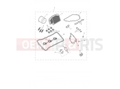 Triumph 2026 SPEED TRIPLE 1200 RX Engine Service Kit