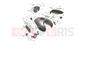 Triumph 2026 Trident 800 Fuel Tank Bodywork