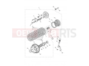 Triumph 2026 Trident 800 Clutch