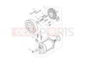 TRIUMPH Tiger 900 Rally Starter & Alternator