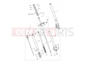 TRIUMPH Tiger 900 Rally Front Forks & Lower Yoke Assy