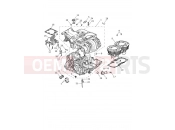 TRIUMPH SCRAMBLER 1200 X Crankcase & Fittings
