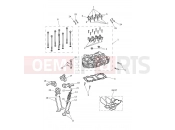 Triumph 2025 SCRAMBLER 1200 X Cylinder Head & Valves