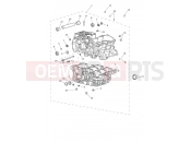 TRIUMPH TIGER 900 Desert Crankcase & Fittings