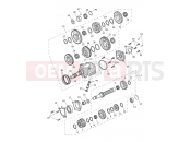 Triumph 2025 Tiger 1200 GT Pro Transmission
