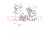 Triumph 2026 Tiger 1200 GT Pro Crankcase & Fittings