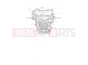 Triumph 2026 Tiger 1200 Desert Crankcase Bolts