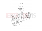 Triumph 2025 TRIDENT 660cc CB1390 > CN4039 Engine Covers