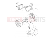 Triumph 2025 TRIDENT 660cc CB1390 > CN4039 Alternator & Starter Motor