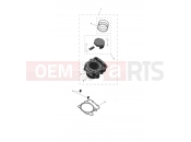 TRIUMPH SCRAMBLER 400 XC Piston & Cylinder