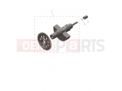 TRIUMPH SCRAMBLER 400 XC Balancer