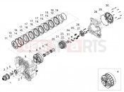 Clutch - Motoguzzi Stelvio PFF Rider Assistance SolutioN (EU) 2026