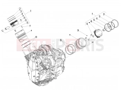 Cylinder - Piston - Motoguzzi Stelvio (EU) 2026