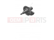 TRIUMPH TF250-E Balancer