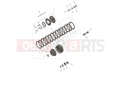 TRIUMPH TF250-E Clutch