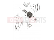 Cylinder Head & Valves - Triumph TF250-E 2026