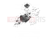 Crankcase - Triumph TF250-X CS6090 > 2024