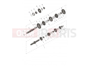 Transmission - Triumph TF250X - CF3825 > CS6089 2023