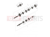 Transmission - Triumph TF450-E 2025