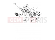 Electrical System - Triumph TF450-E 2025