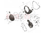 Engine Covers - Triumph TF250-E 2025