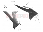 Side Panels - Triumph TF250-E 2025