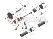 Lubrication System - Triumph TF250-E 2026