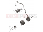 Alternator & Starter Motor - Triumph TF250-E 2026