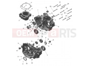 Crankcase - Triumph TF450-E 2026