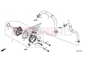 E-12 WATER PUMP - Honda CB500XAE CB500X ABS 2014